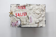 Sick Saliva - David Douard