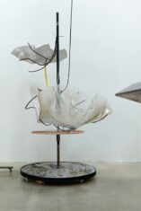 MO’SWALLOW - David Douard