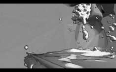 )juicy o&rsquo;f the nest - David Douard