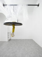 SO - David Douard