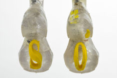 SO - David Douard