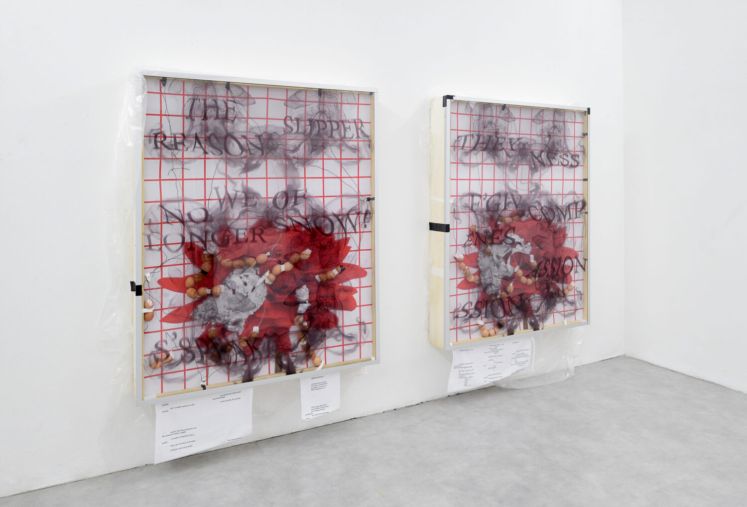 SO - David Douard