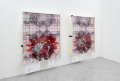 SO - David Douard