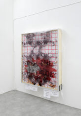 SO - David Douard