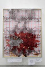 SO - David Douard