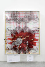 SO - David Douard