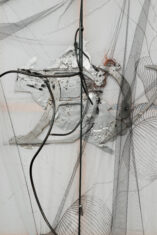 Horses - David Douard