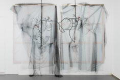 Horses - David Douard