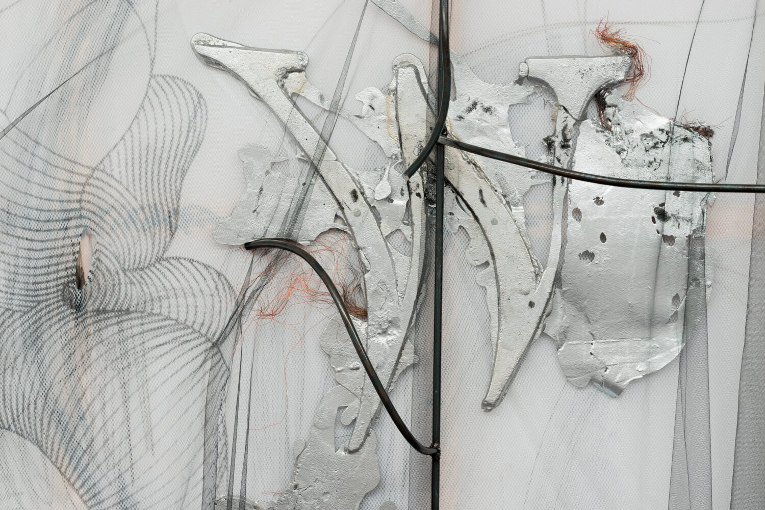 Horses - David Douard