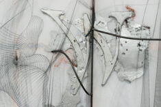 Horses - David Douard