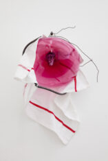 Rose - David Douard