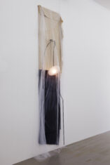 Rose - David Douard