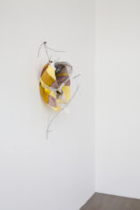 Rose - David Douard