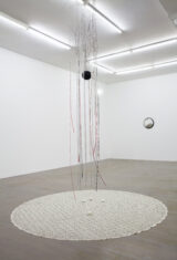 Rose - David Douard