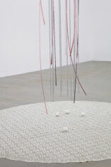 Rose - David Douard