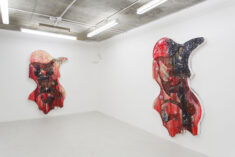 S&rsquo; - David Douard