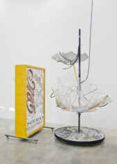 MO’SWALLOW - David Douard