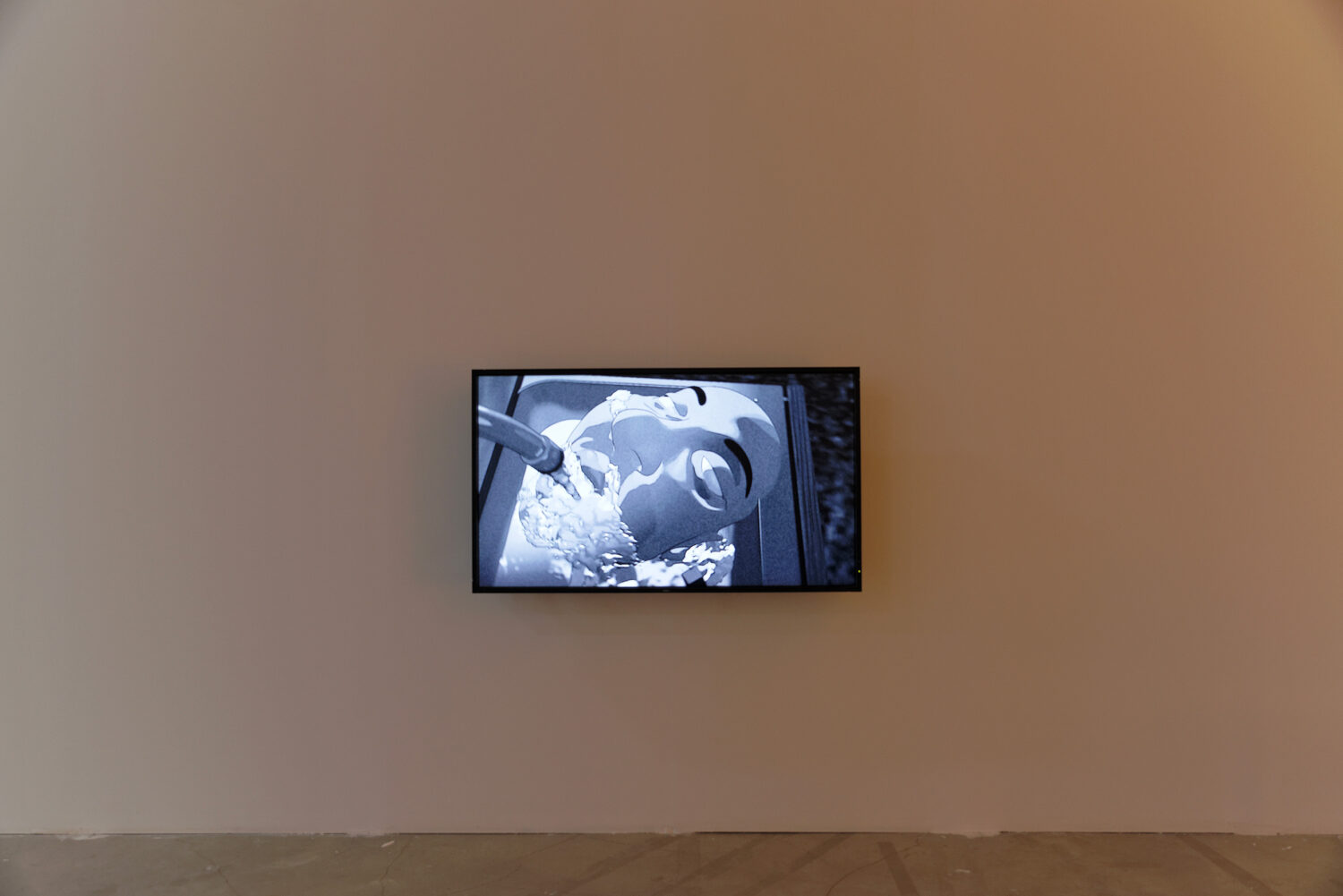 MO’SWALLOW - David Douard