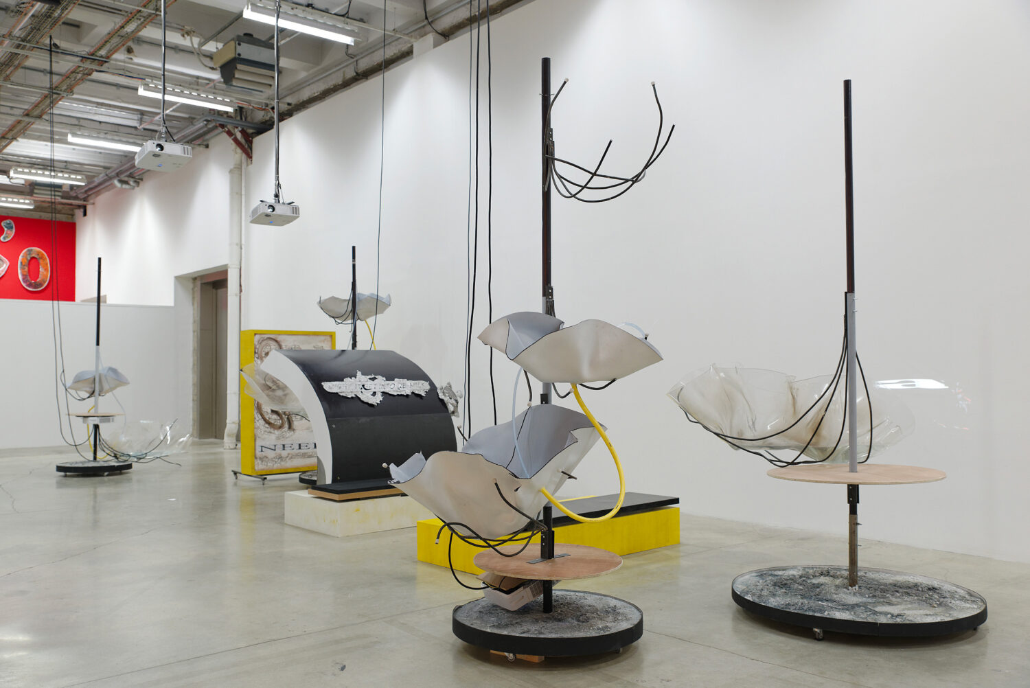 MO’SWALLOW - David Douard