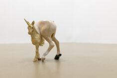 O’DA’OLDBORIN’GOLD - David Douard