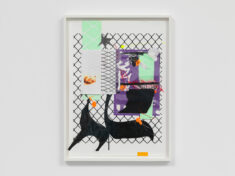 Aura vamp&rsquo;block&rsquo;r - David Douard