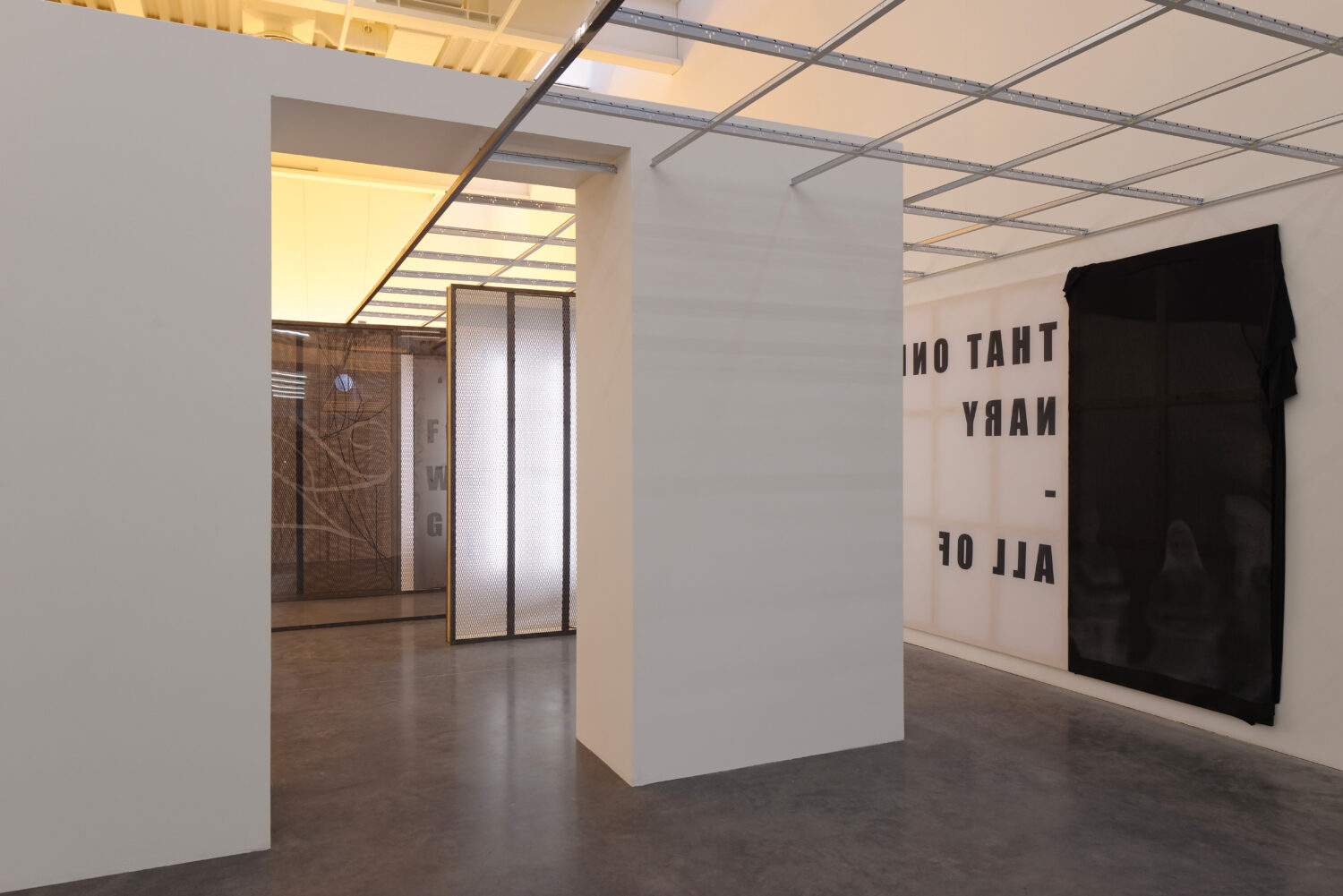 We&rsquo;ve never – Biennale de Rennes « Incorporated! » - David Douard