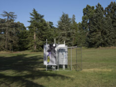 Sculpture Garden - David Douard