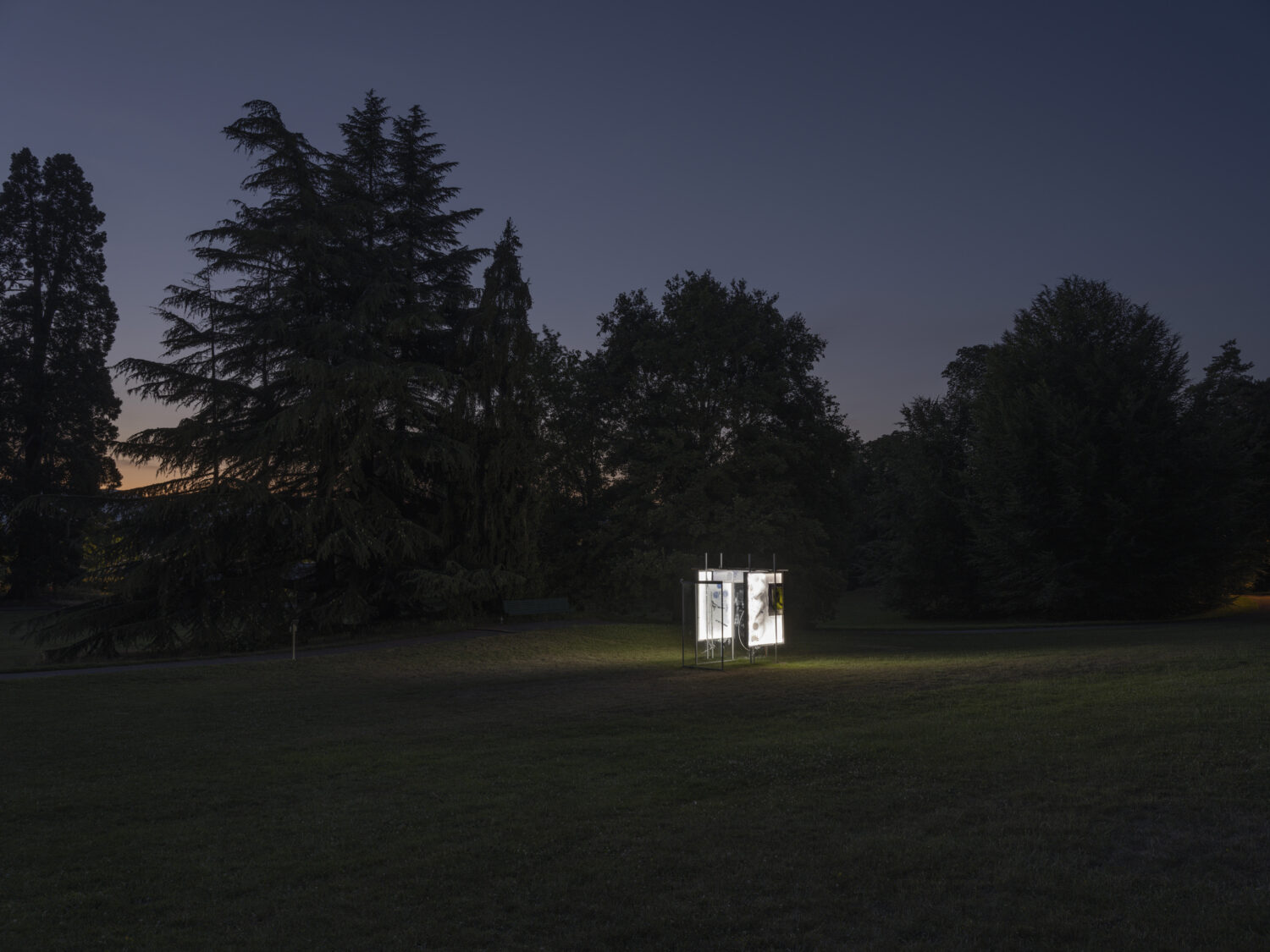 Sculpture Garden - David Douard
