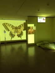 16th Istanbul Biennial – The Seventh Continent - David Douard