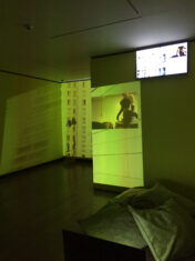 16th Istanbul Biennial – The Seventh Continent - David Douard