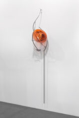 Artissima 2017 - David Douard