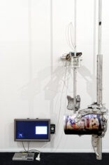 12éme Biennale de Lyon, Entre-temps… brusquement, et ensuite - David Douard