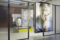Inhuman - David Douard