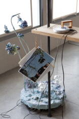 Innerspace - David Douard
