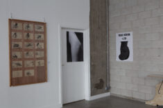 Innerspace - David Douard