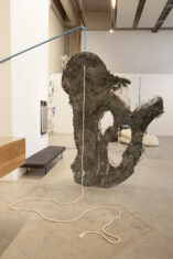 Innerspace - David Douard