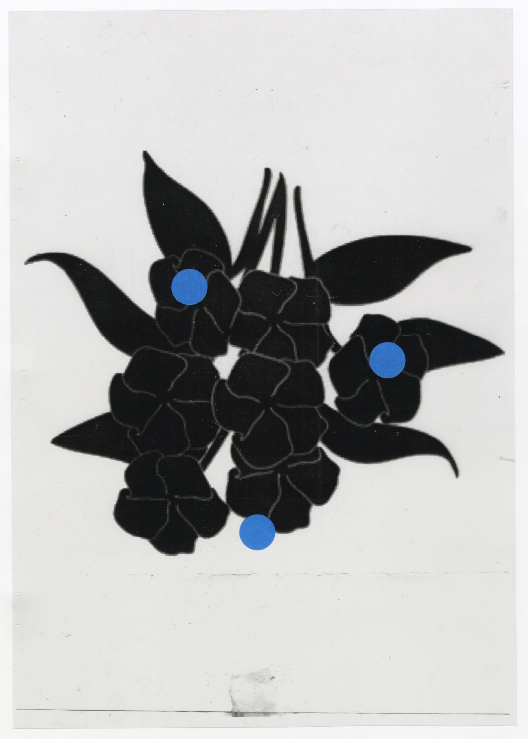 1 - David Douard