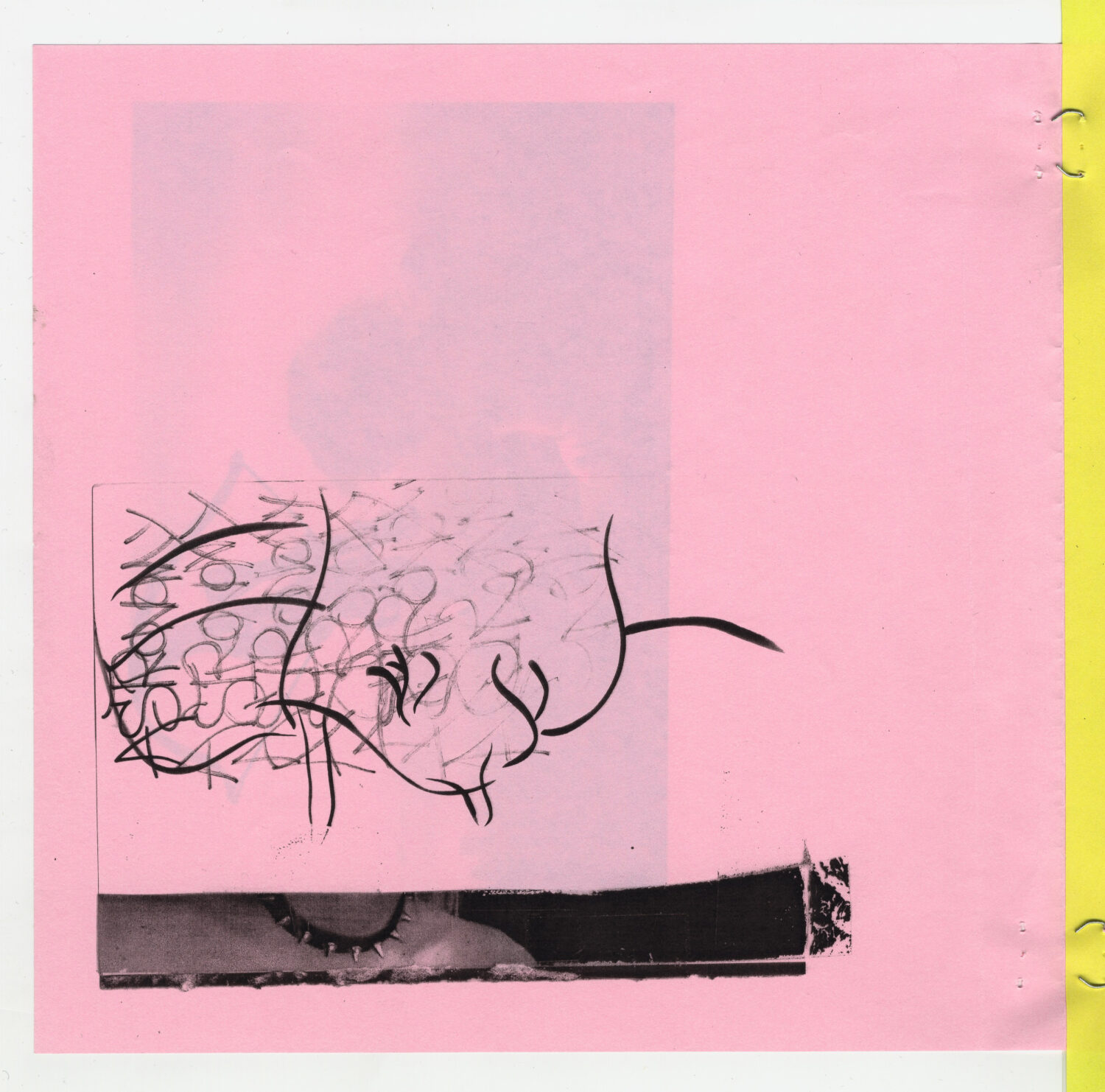 10 - David Douard