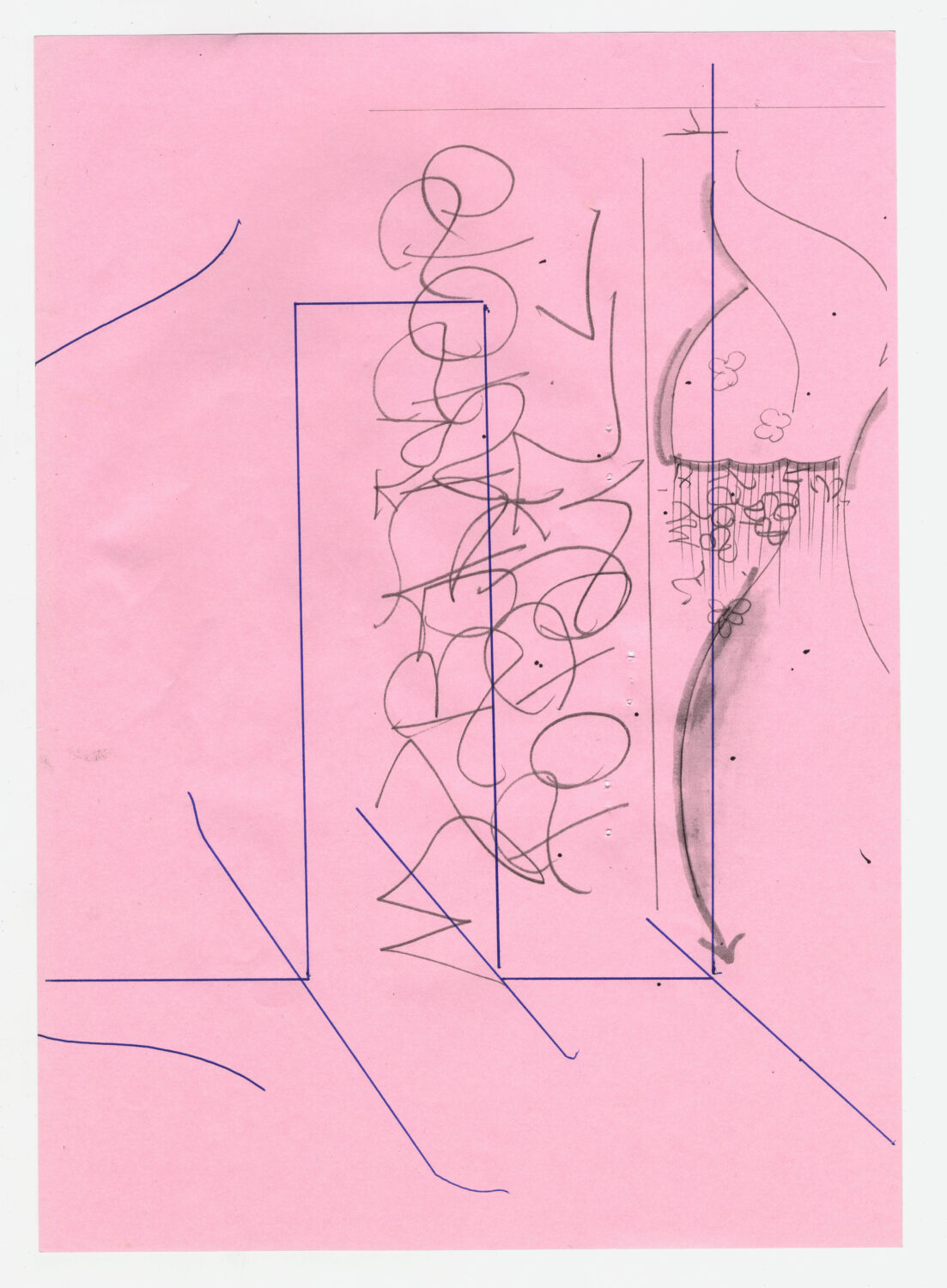 11 - David Douard