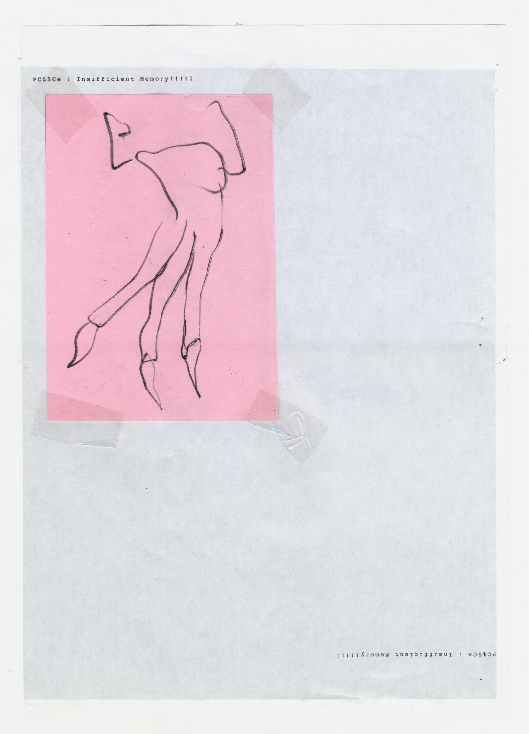 12 - David Douard