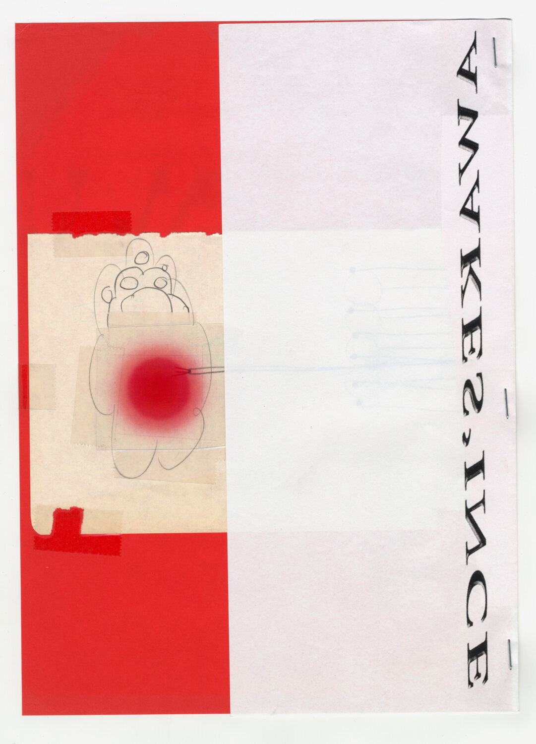 13 - David Douard