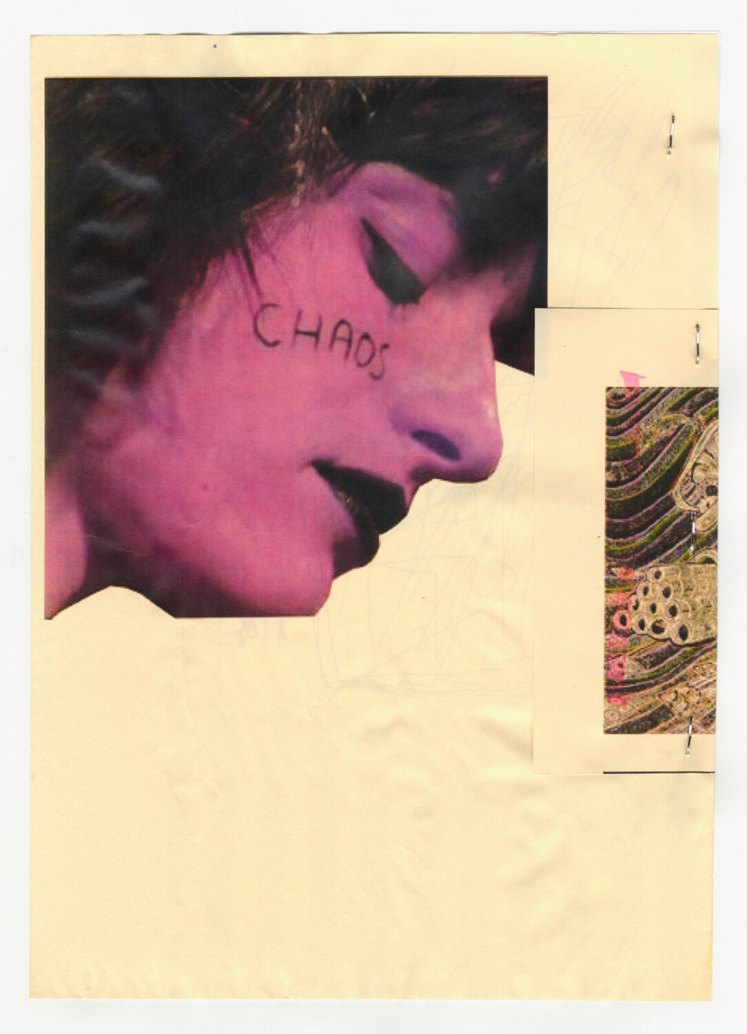 15 - David Douard