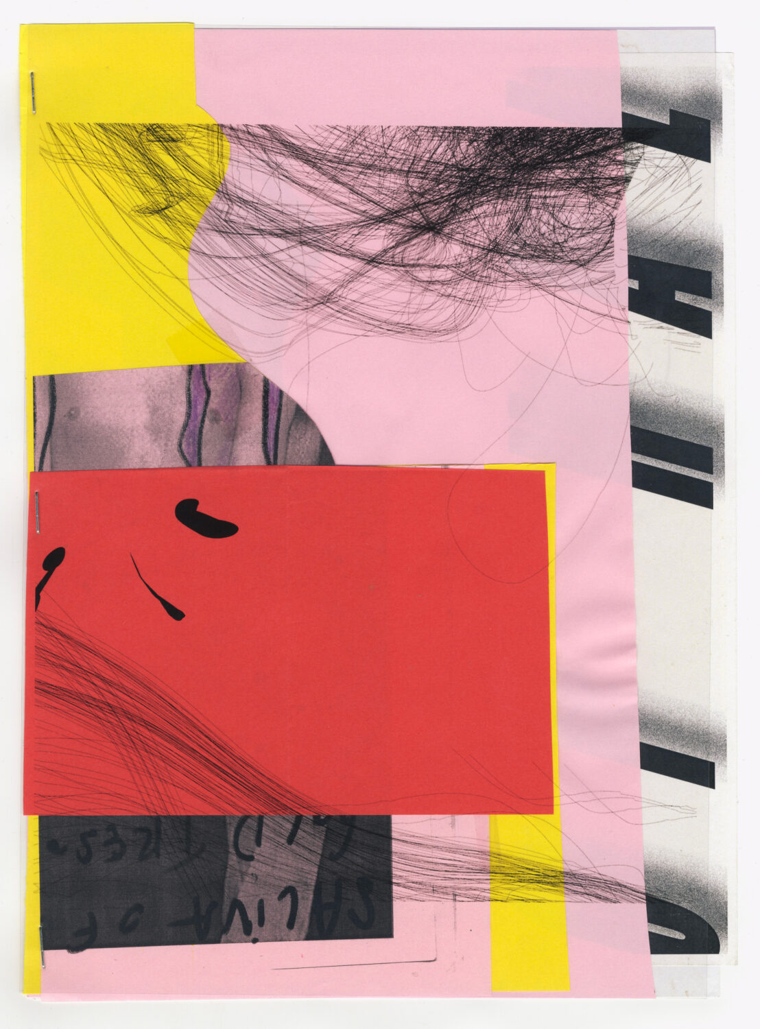 19 - David Douard
