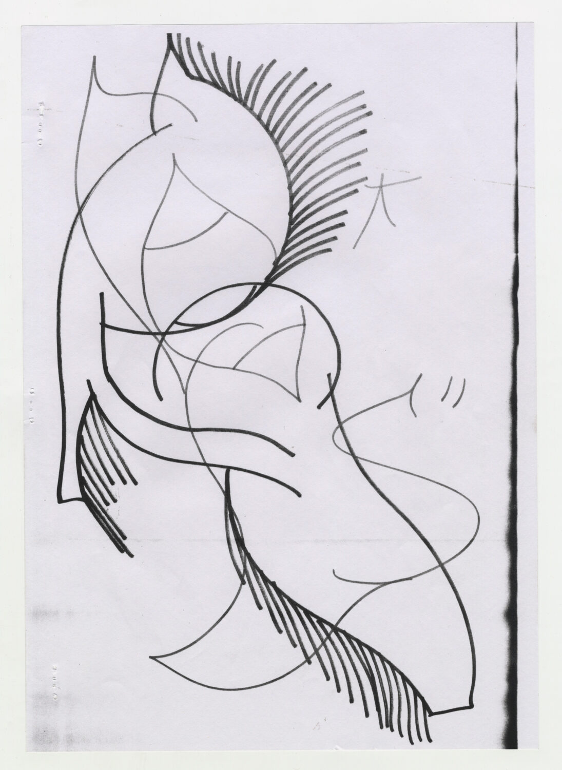 21 - David Douard