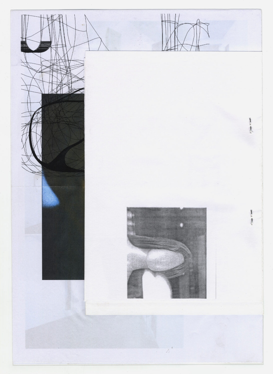 28 - David Douard