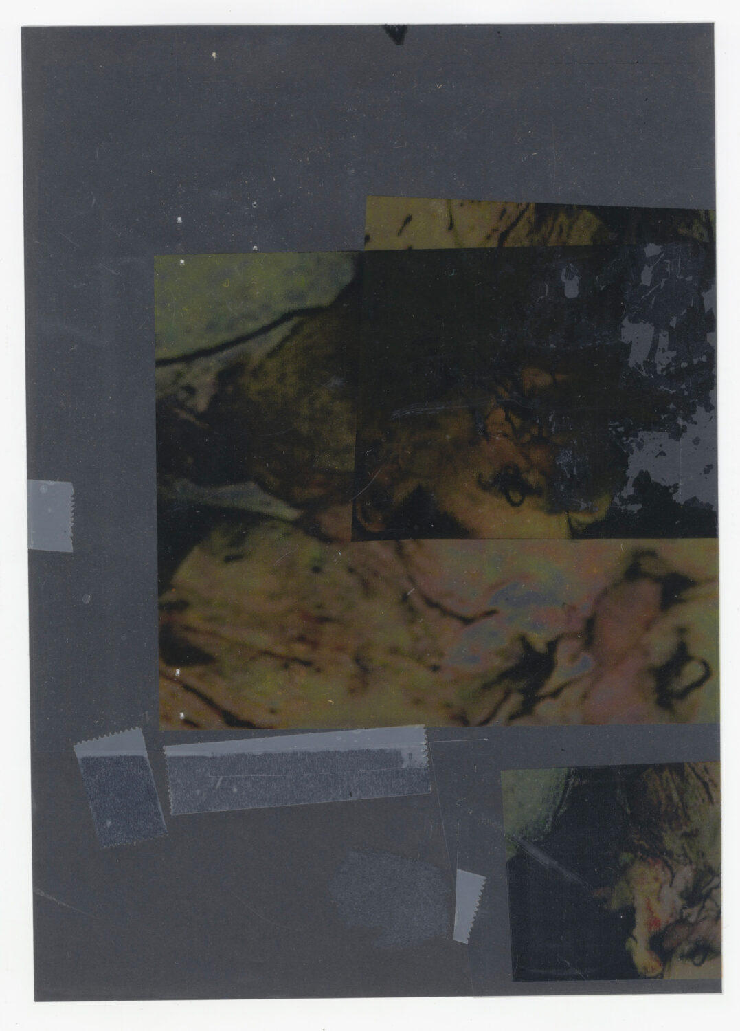 31 - David Douard