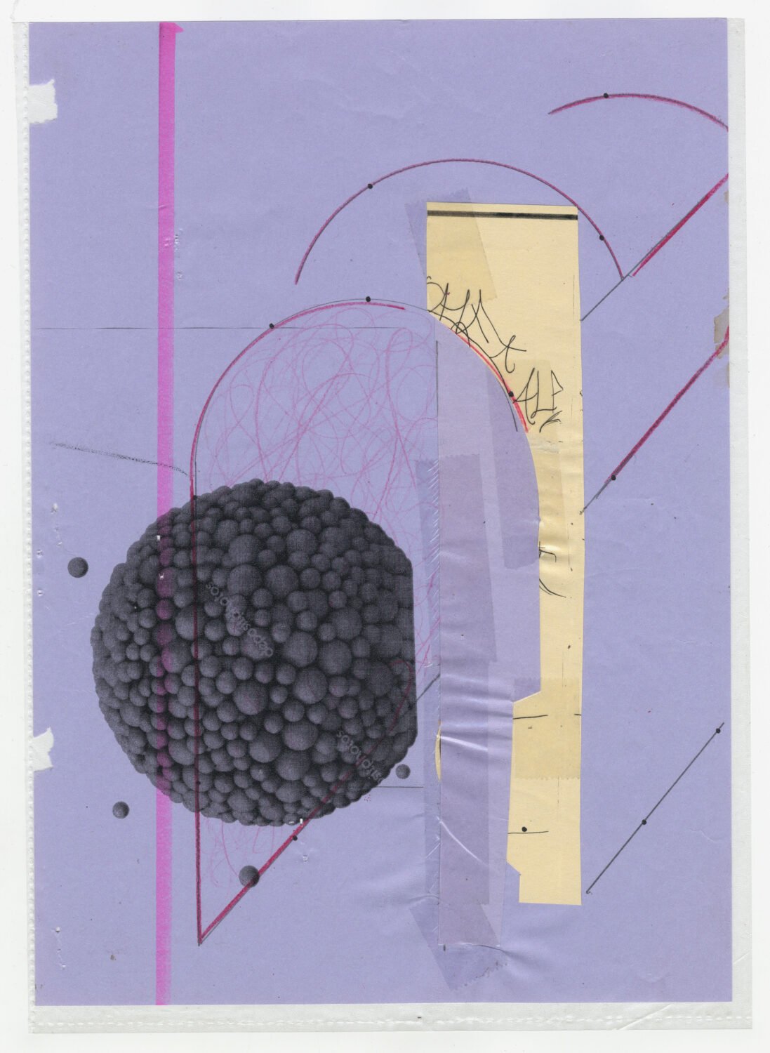 36 - David Douard