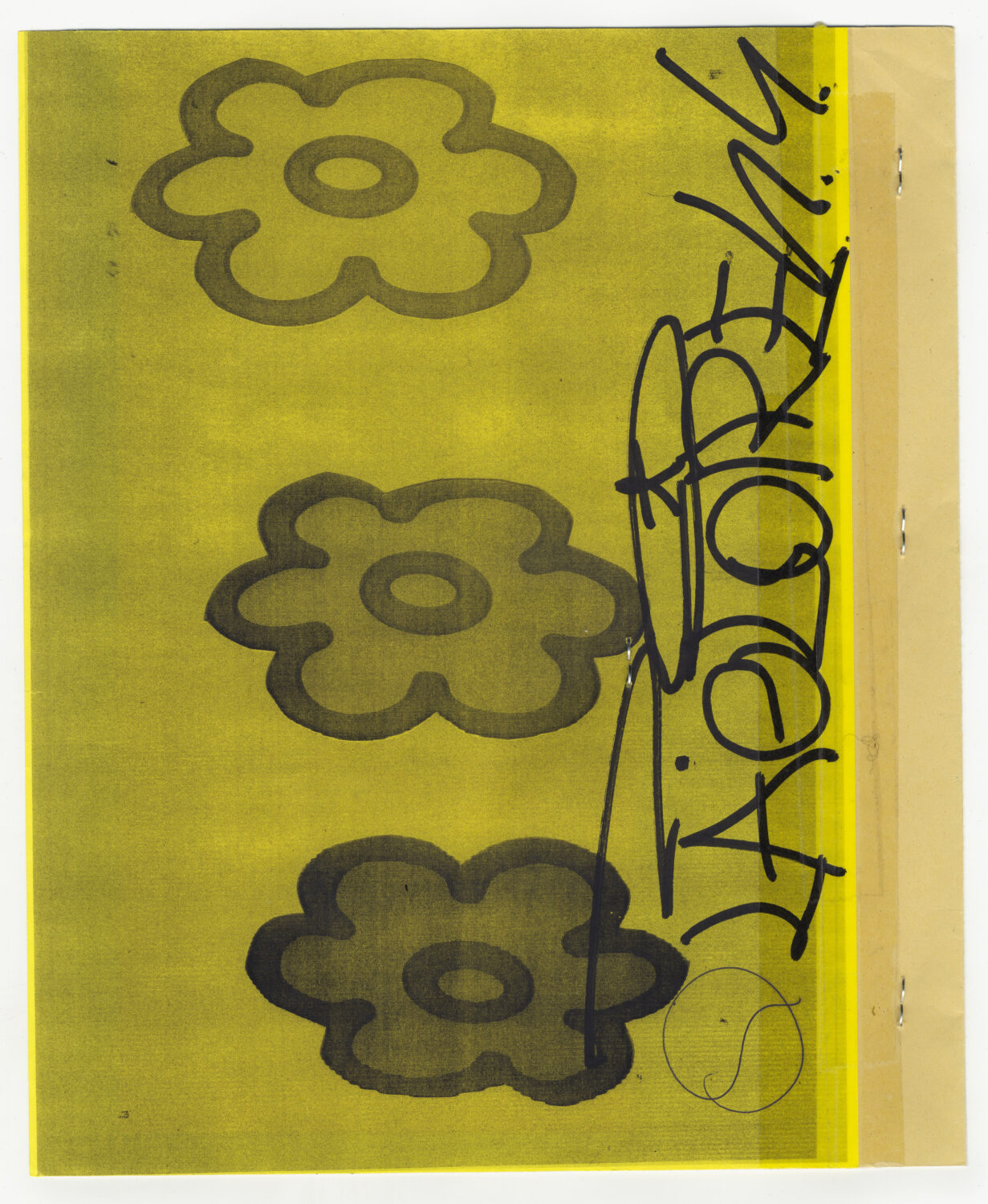 37 - David Douard