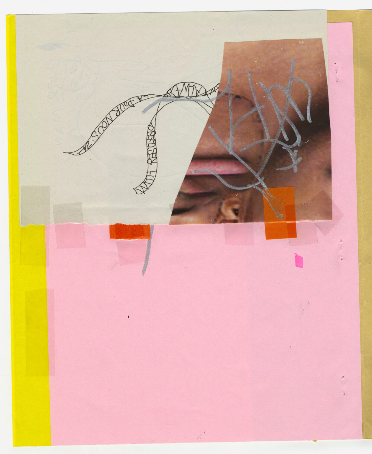 37 - David Douard