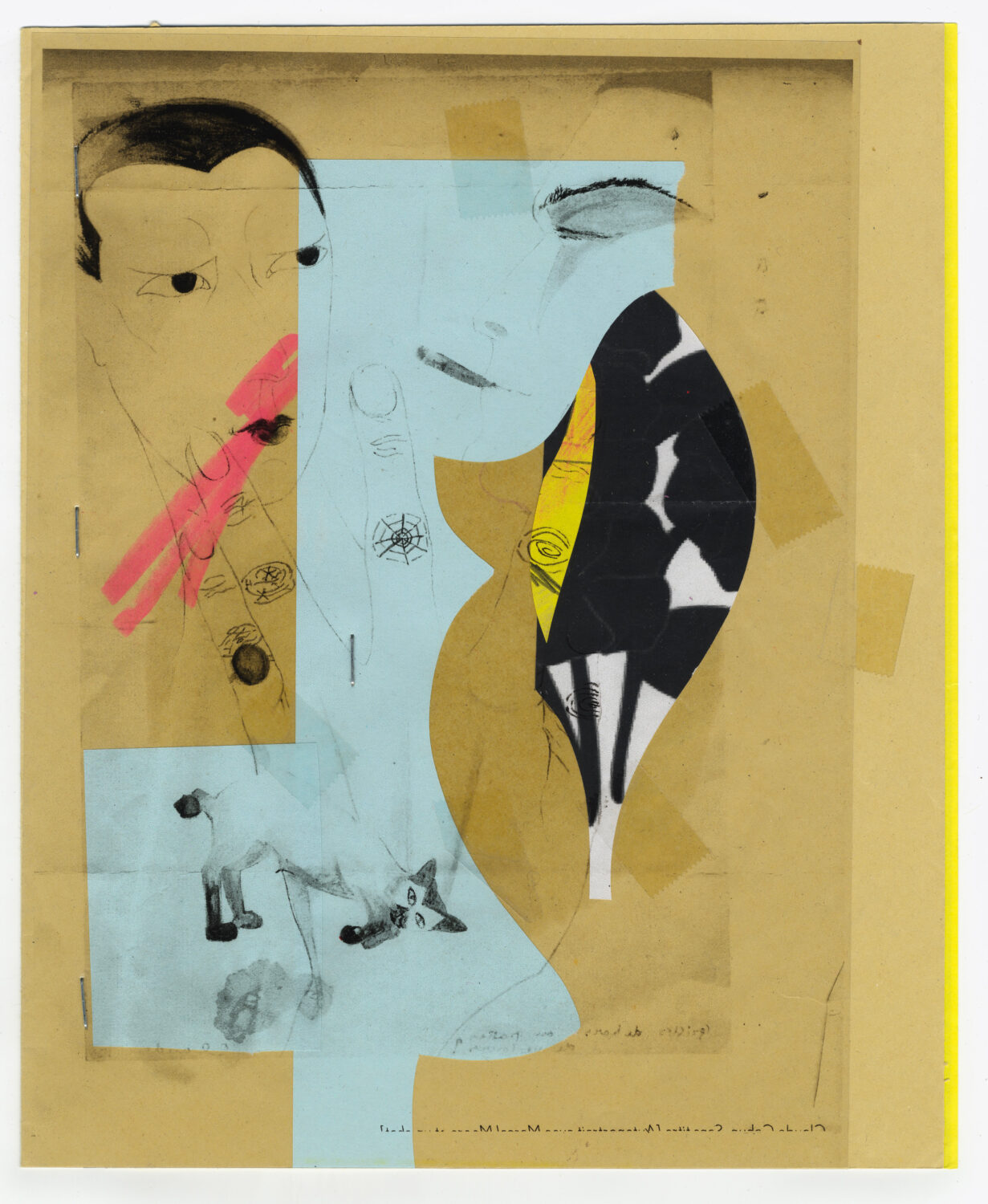 37 - David Douard